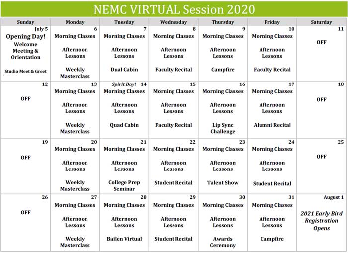 2020 virtual calendar